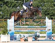 LUPINO Biricchina bella GioCav2013 S6 7563 : Biricchina bella, Campionati Italiani Giovani Cavalli, Cattolica, LUPINO NICO, ph Stefano Secchi ©